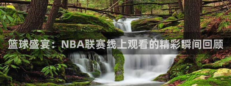 篮球盛宴：NBA联赛线上观看的精彩瞬间回顾