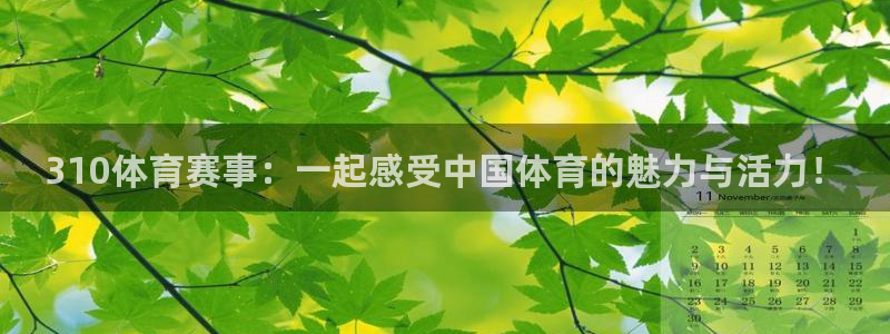 310体育赛事：一起感受中国体育的魅力与活力！