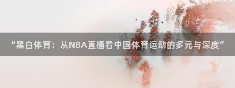 “黑白体育：从NBA直播看中国体育运动的多元与深度”