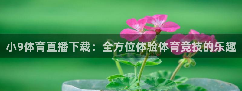 小9体育直播下载：全方位体验体育竞技的乐趣