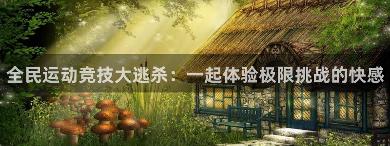 2010年世界杯赛程表及结果：全民运动竞技大逃杀：一起体验极限挑战的快感