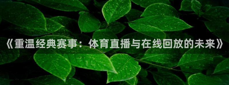 日本上届世界杯：《重温经典赛事：体育直播与在线回放的未来》