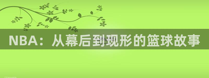 世界杯预选赛回放：NBA：从幕后到现形的篮球故事