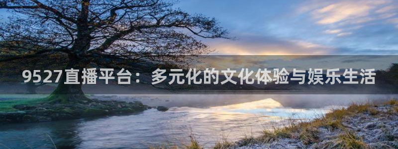 雨果世界杯决赛：9527直播平台：多元化的文化体验与娱乐生活