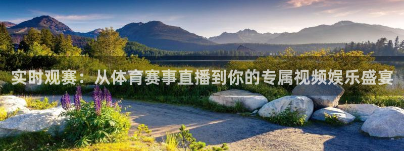 男篮世界杯比赛直播：实时观赛：从体育赛事直播到你的专属视频娱乐盛宴