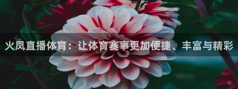 世界杯亚洲杯预选赛积分榜