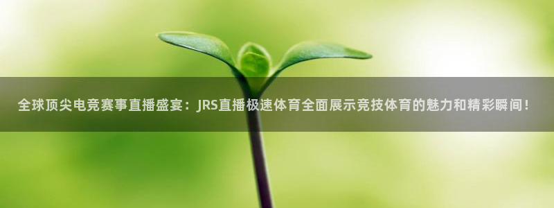 迷你足球世界杯
