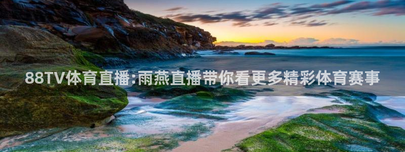 世界杯乒乓球冠军：88TV体育直播:雨燕直播带你看更多精彩体育赛事