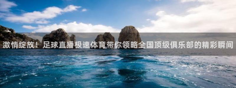2002年世界杯八分之一决赛：激情绽放！足球直播极速体育带你领略全国顶级俱乐部的精彩瞬间