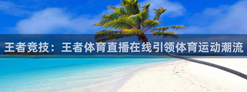 孙颖莎世界杯决赛：王者竞技：王者体育直播在线引领体育运动潮流
