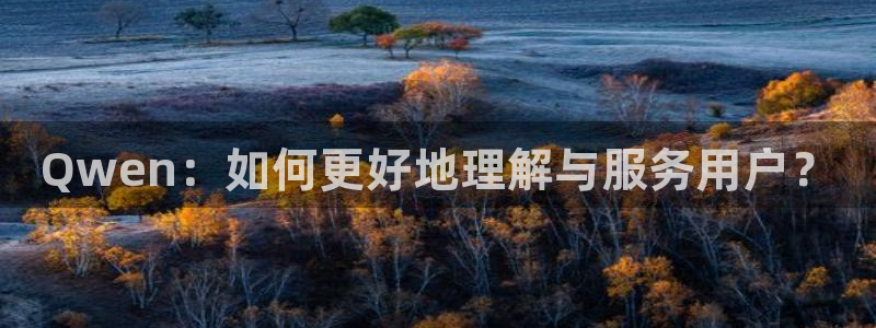 02年世界杯赛程表及结果表：Qwen：如何更好地理解与服务用户？