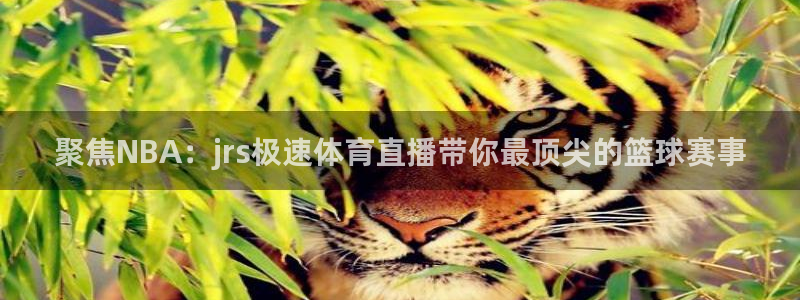 世界杯直播哪里看：聚焦NBA：jrs极速体育直播带你最顶尖的篮球赛事